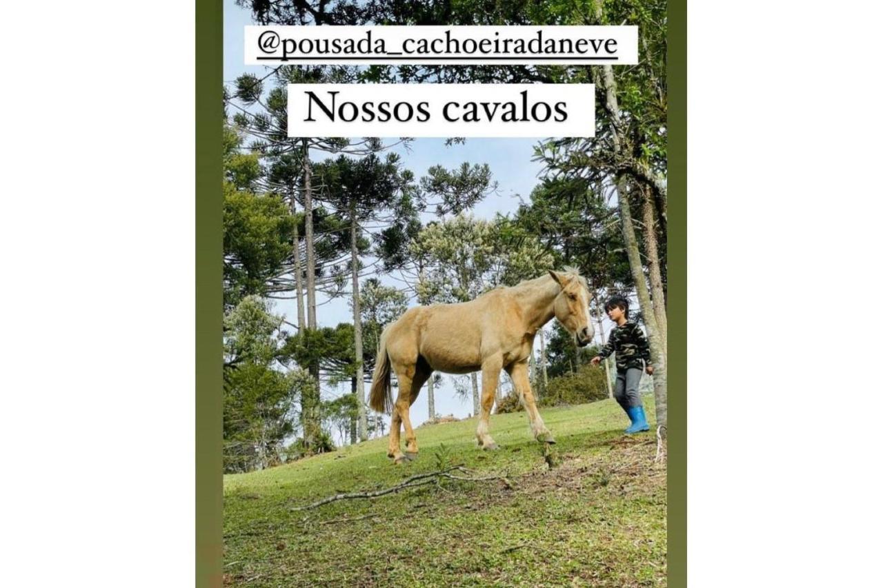 Floresta Secreta- Pousada Cachoeira Da Neve Urubici Dış mekan fotoğraf